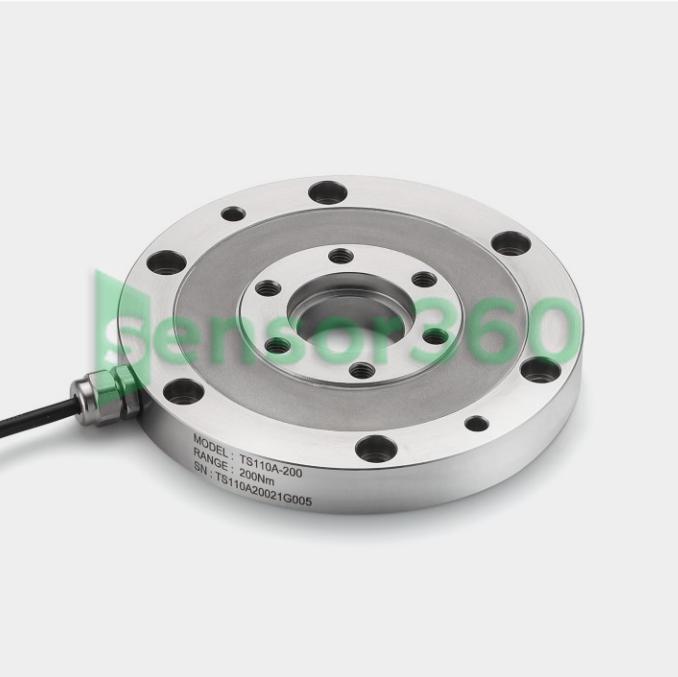 Torque sensor TS110A