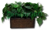 Wireless Covert Plant Hidden Camera