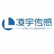Jining Lingyu Sensing