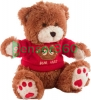 Wireless Teddy Bear Hidden Camera